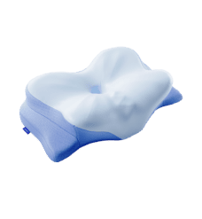 Derila Ergo memory foam contour pillow