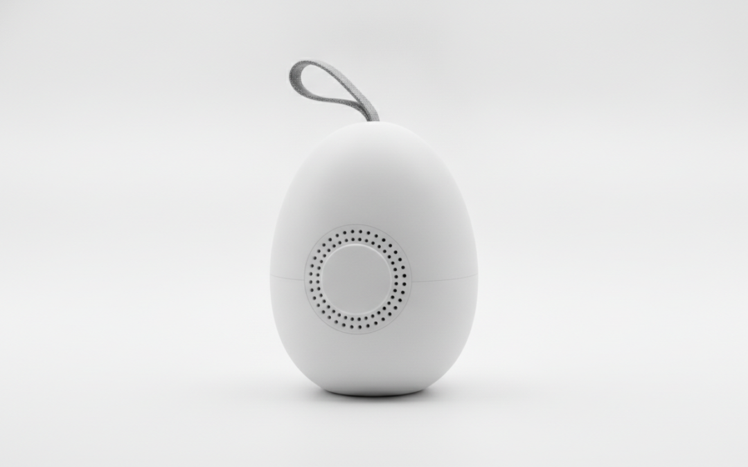 Generic portable egg-shaped sound machine, product illustration